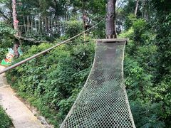 -芦仙山景区-飞越丛林探险乐园