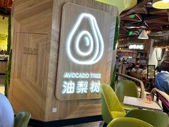 -油梨树AVOCADO TREE(嘉里中心店)