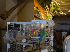 -Bar Infusion(重庆·九街店)