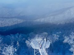 -亚布力新体委滑雪场