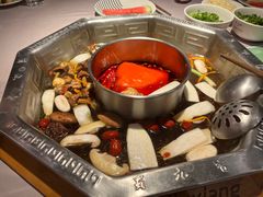 -蜀九香火锅(九眼桥店)
