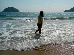 -西涌国际滨海旅游区