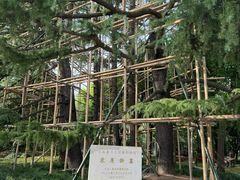 -宋庆龄陵园