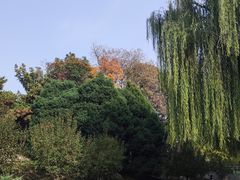 -元大都城垣遗址公园