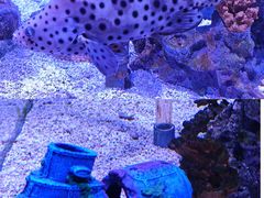 -太平洋海底世界