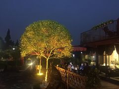 -森居forest休闲咖啡聚集地