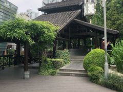 -活水公园