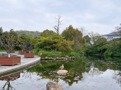 -白马涧龙池景区