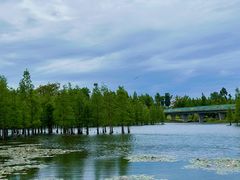 -白鹭湾湿地公园