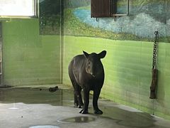 -石家庄市动物园