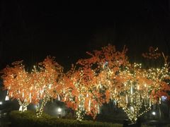 -国御温泉度假小镇