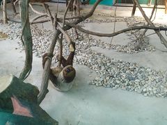 -无锡动物园·太湖欢乐园