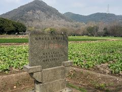 -八卦田遗址公园