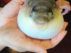 -永安鱼庄·镇江菜(东吴路店)