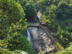 -广州白江湖森林公园