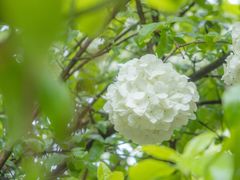 -孝子祠公园