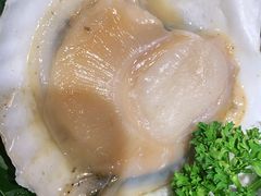 -鸽子窝(青塔店)