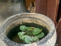 -高淳老街