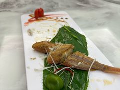 -常胜鲍鱼(吉大店)