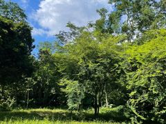 -中国科学院西双版纳热带植物园