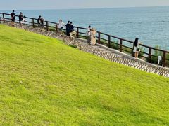 -小麦岛公园