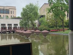 -上海崇明金茂凯悦酒店
