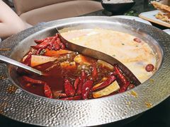 -麻田会 ·鲜活现烹·牛蛙火锅(珠江新城维家思广场店)