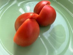 -止观小馆·辽河口渔家菜(王府井店)