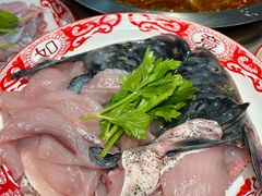 -大江美蛙鱼火锅(都江堰店)
