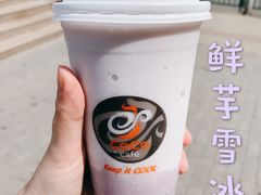 -CoCo都可(蓝村店)