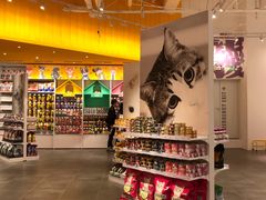 -KKV(深圳宏发大仟里店)