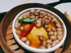 -高第街56号餐厅(泰安万达店)