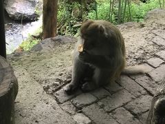 -藏龙百瀑风景区