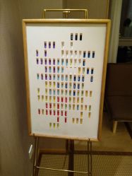 -彩虹之门健康管理