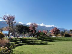 -云禾壹海景庄园餐厅