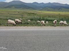 -青海湖国家重点风景名胜区
