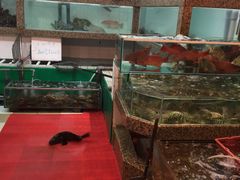 -鲤鱼门海鲜街