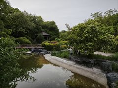 -上海吴淞炮台湾国家湿地公园