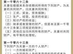 -上海领胜律师团队·法律咨询