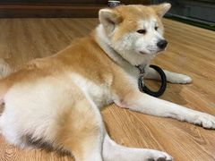 -YCHL Studios健身工作室(市二宫店)
