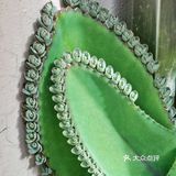 入坑3年 感谢你们的陪伴