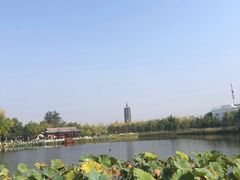 -西海子公园