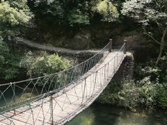 -大奇山国家森林公园