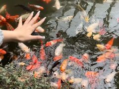 -南昌动物园