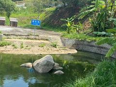 -广东惠东海龟国家级自然保护区