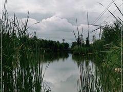 -呈贡滇池生态湿地公园