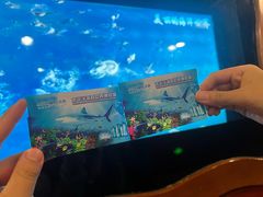 -太平洋海底世界