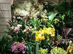 -春暖花开(西溪店)