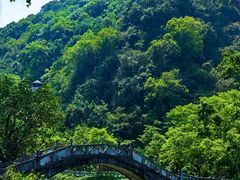 -靖西鹅泉风景区