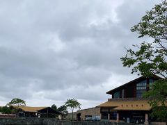 -宁波杭州湾国家湿地公园